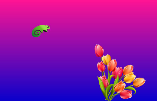 1214740 (a): :2153x1390